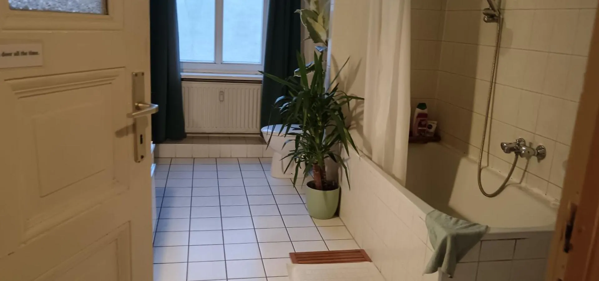 Double Bed In Sharing Apartment Berlin